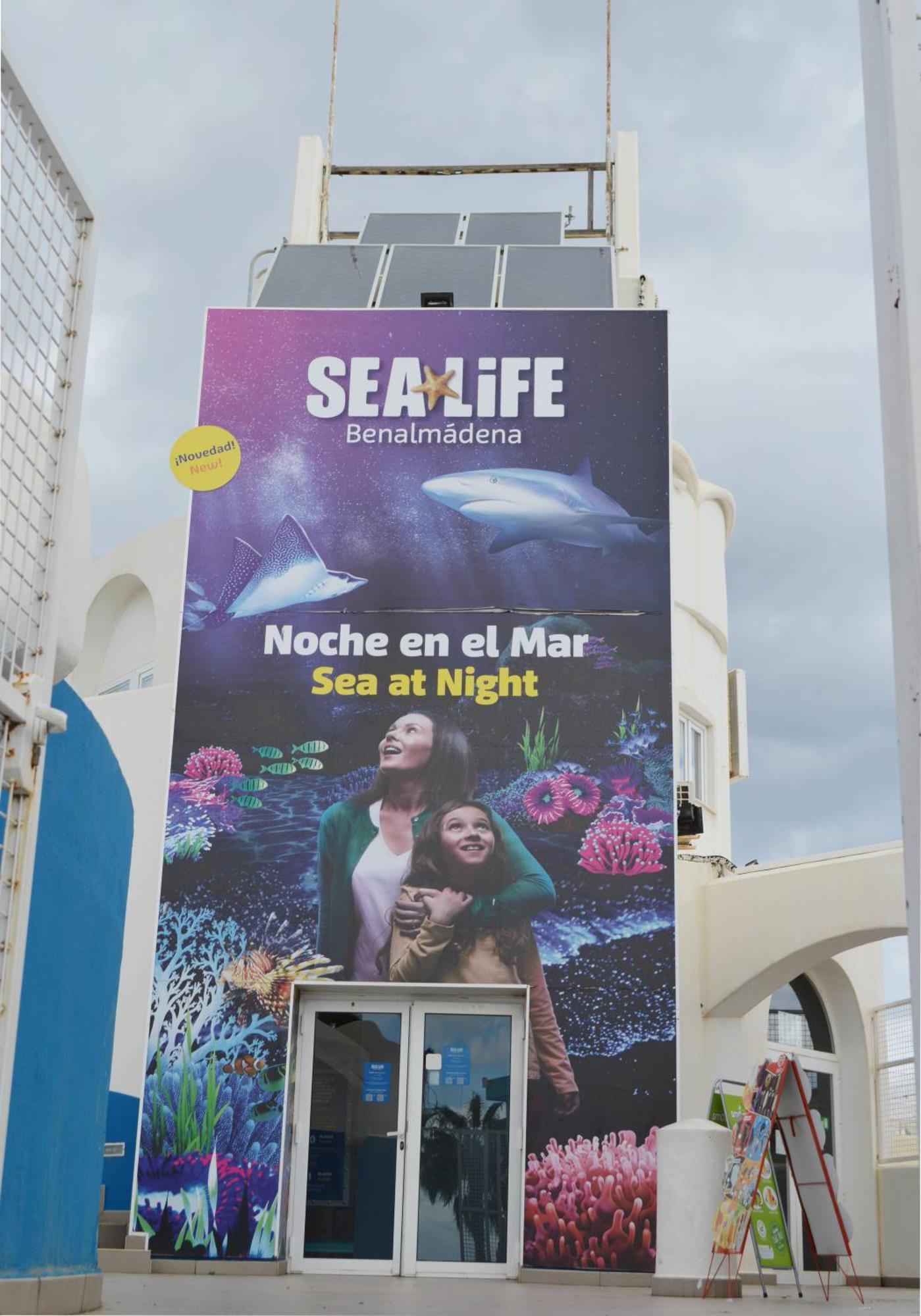 Apart With Swimming Pool Open All Year Benalmadena Benalmádena Exterior foto