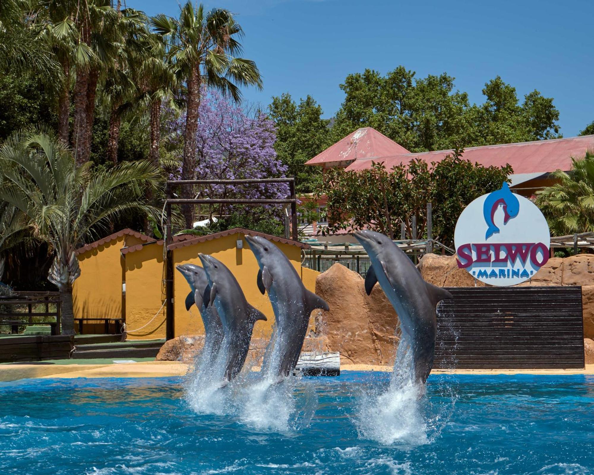 Apart With Swimming Pool Open All Year Benalmadena Benalmádena Exterior foto